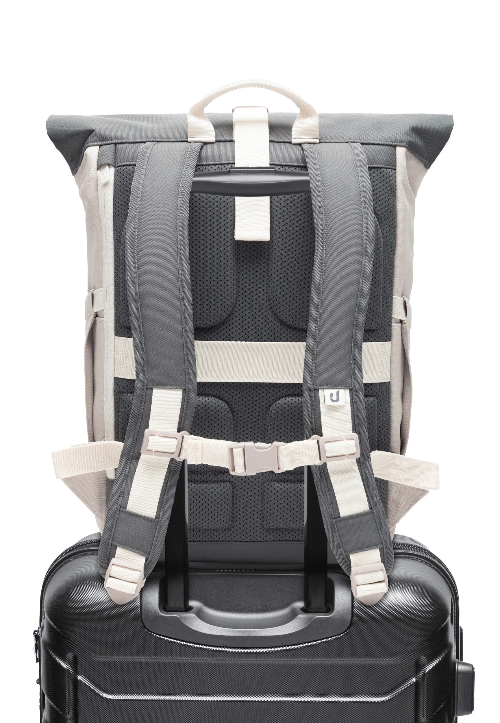Johnny Urban Allen Large Sand-Grau Rolltop Backpack