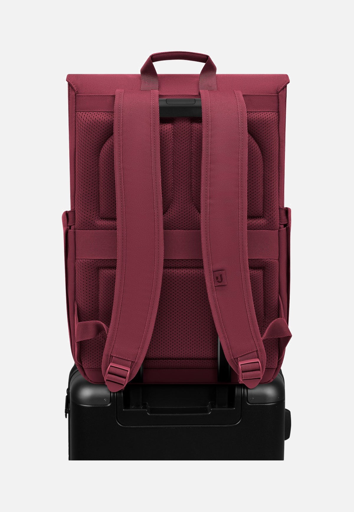 Johnny Urban Mika Burgundy Zaino