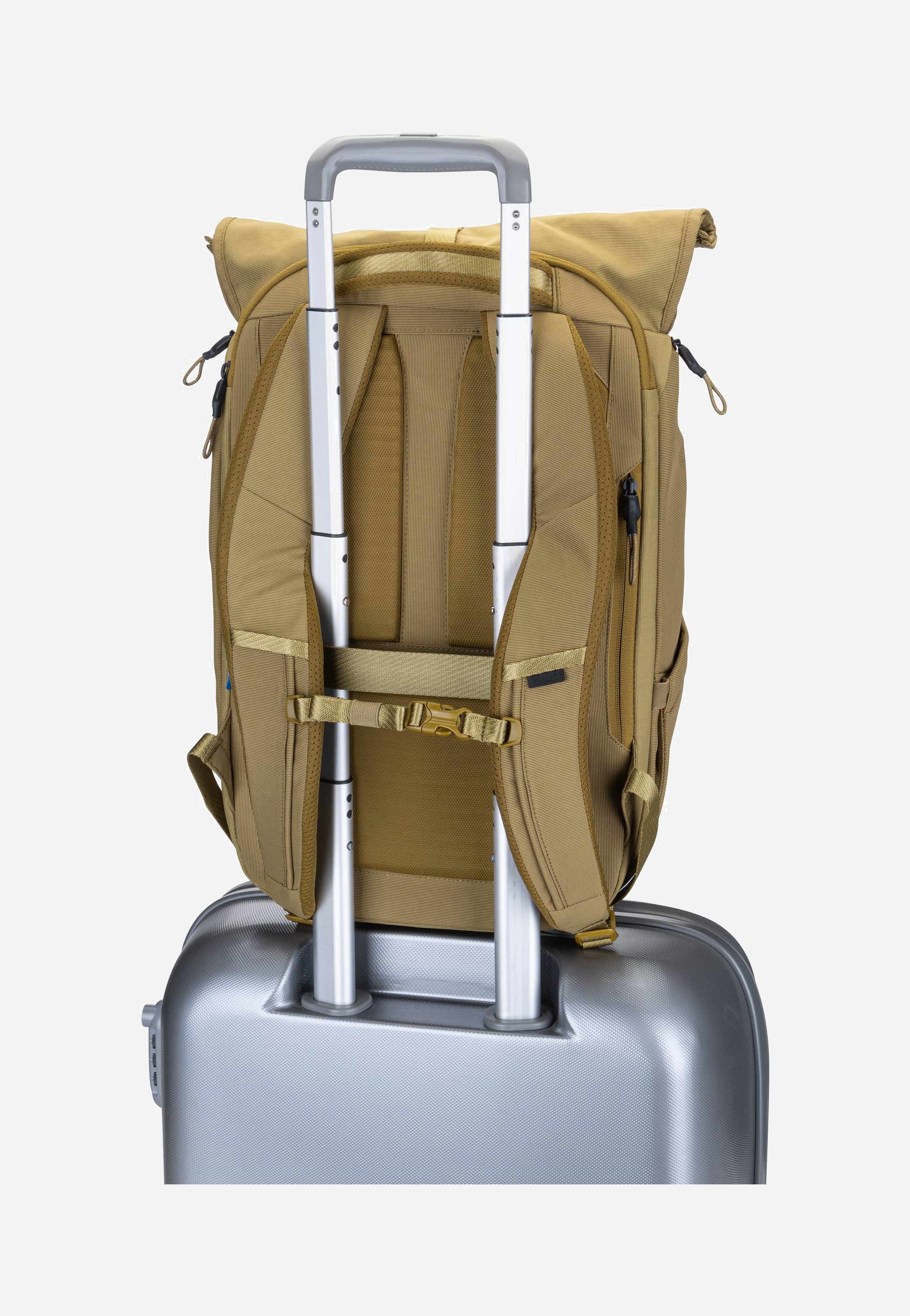 Thule - Paramount 3 24L Nutria - Rolltop Backpack | Neutral-Image