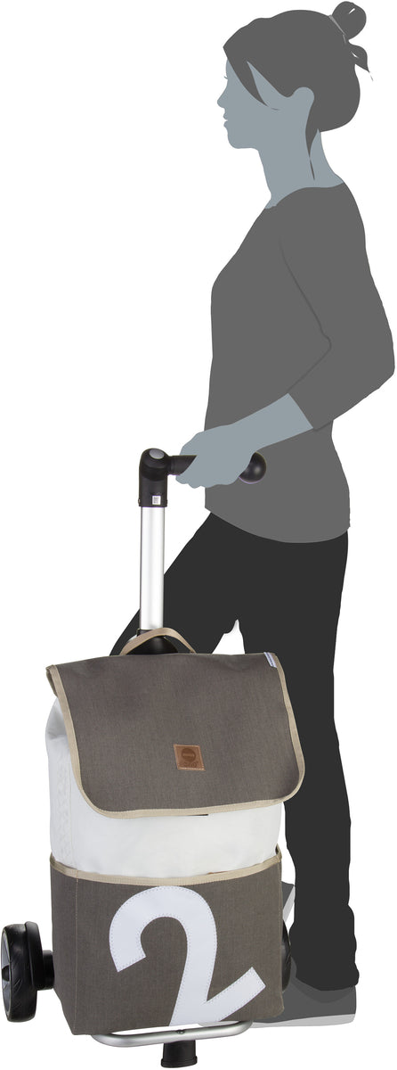 360Grad Mole Blau/Weiß Shopping Trolley – Silhouette View