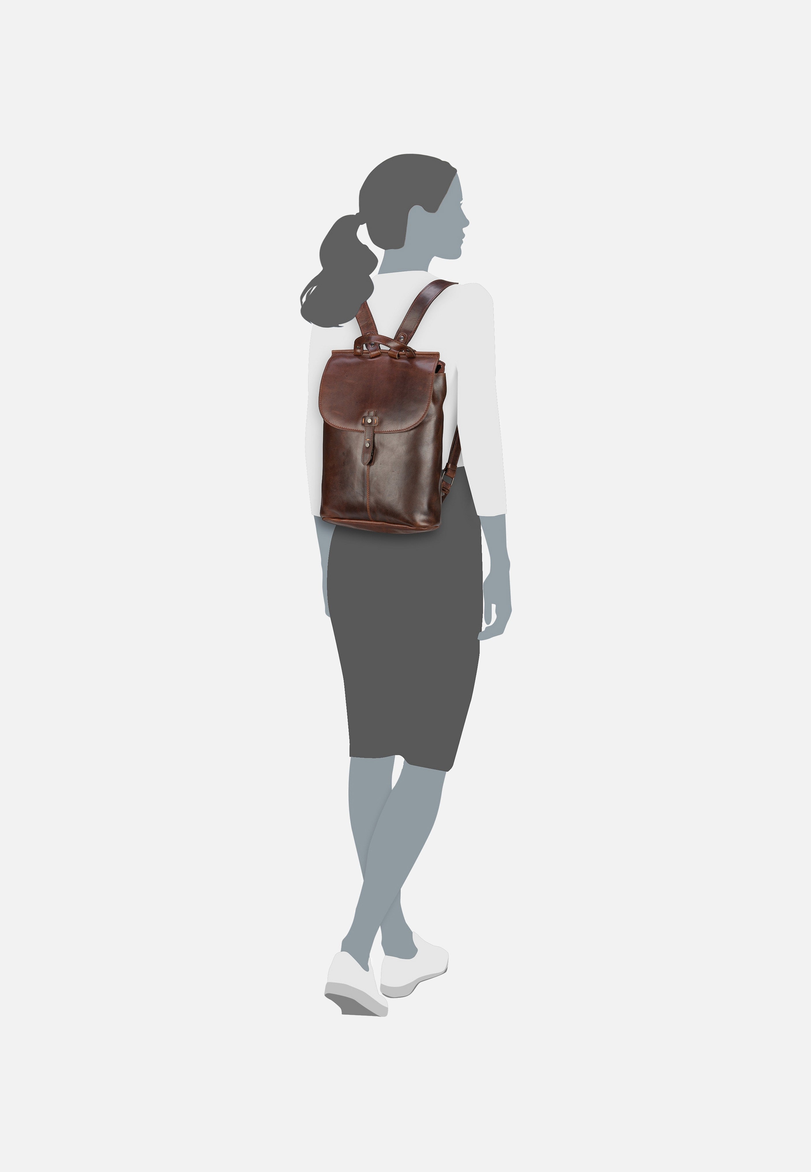 Harold's Aberdeen Braun Backpack
