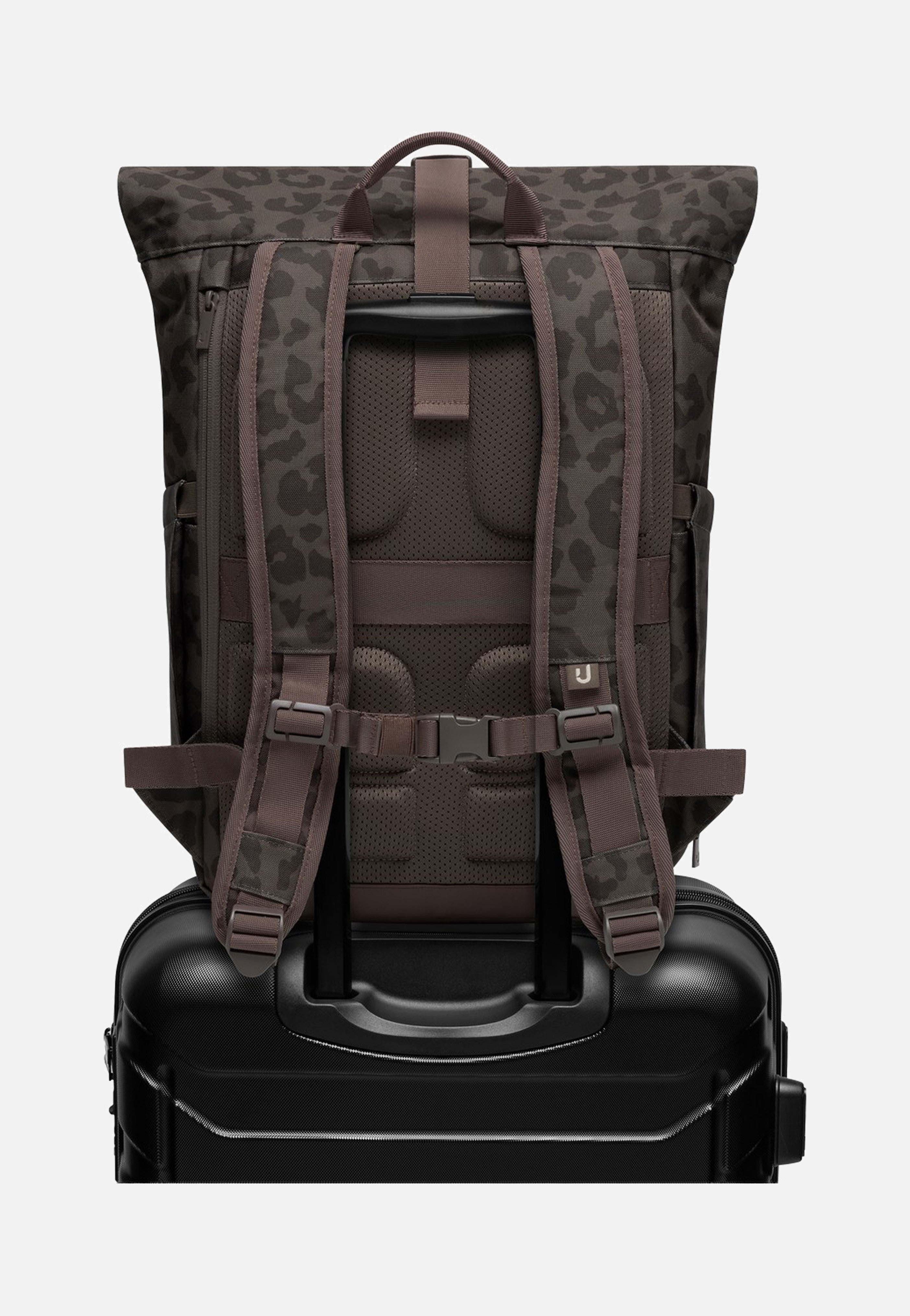 Johnny Urban Allen Medium Brown Leo Rolltop Backpack