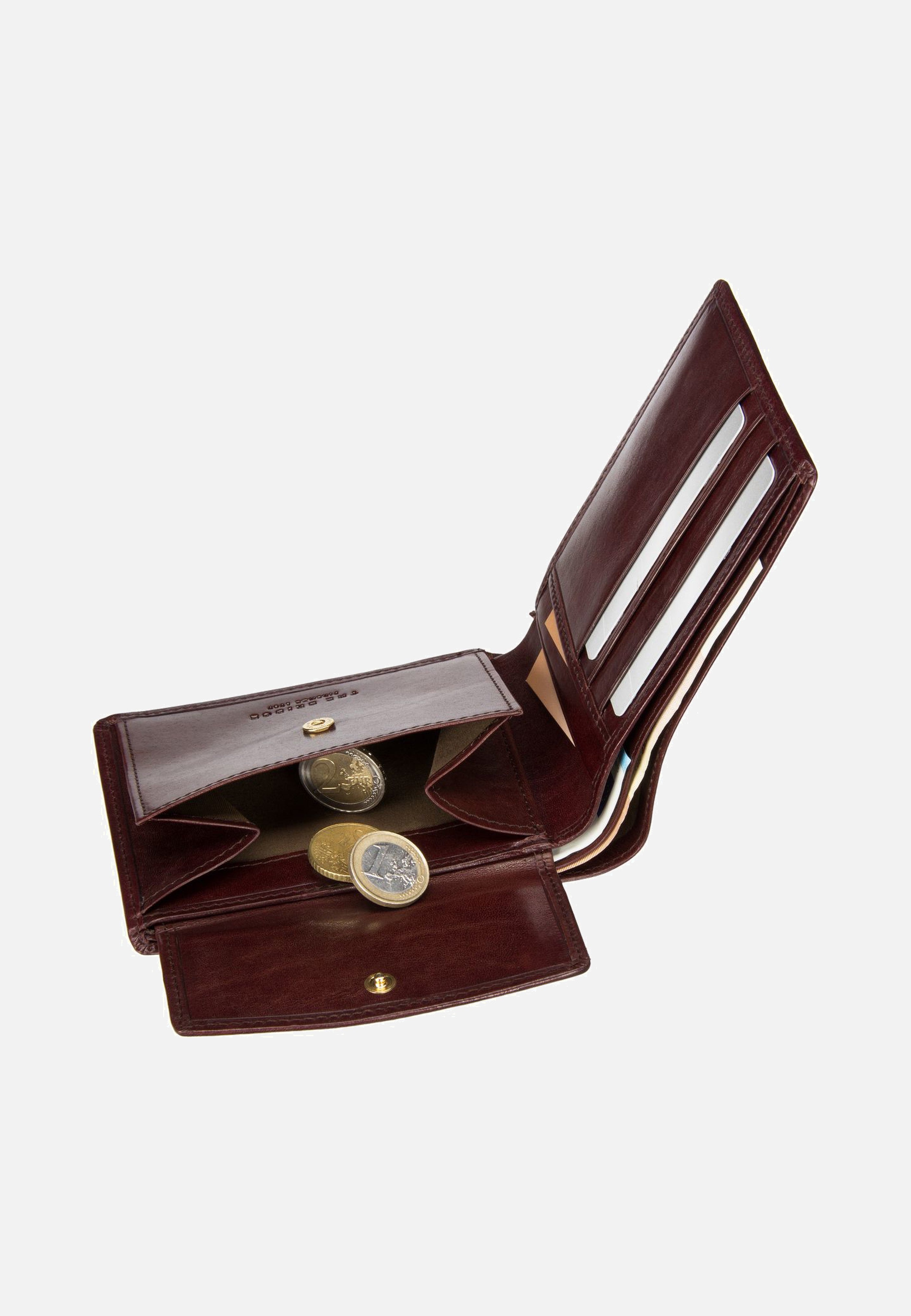 The Bridge Story Uomo Braun Wallet